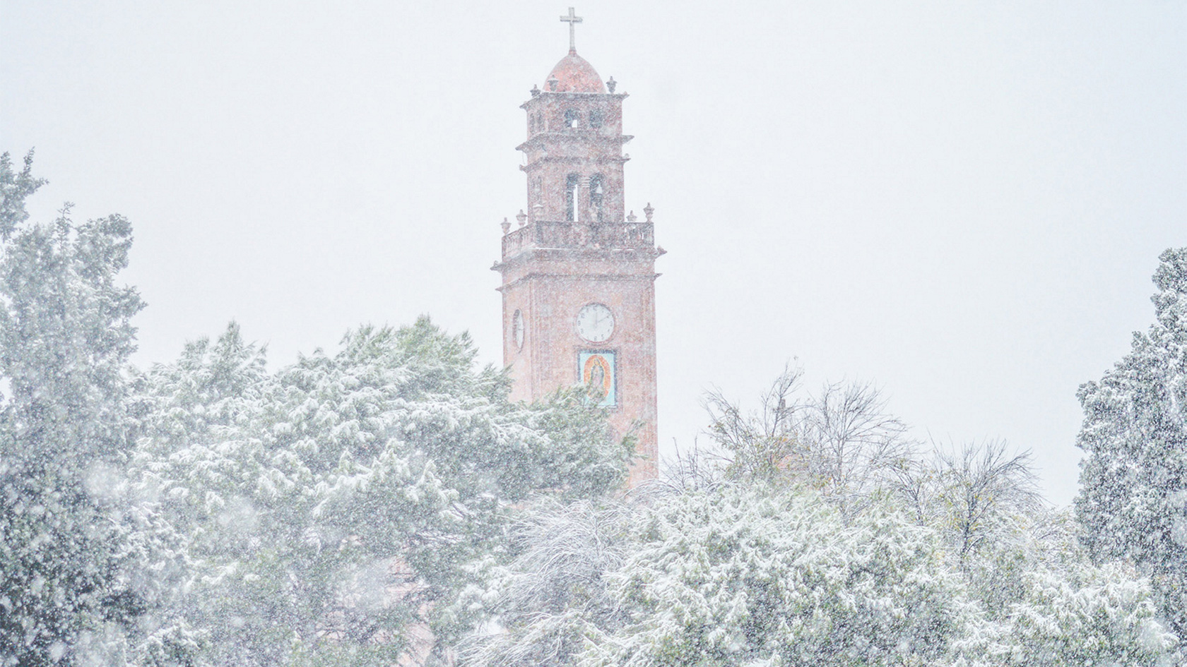 Snowfall Covers Northern Mexico For The First Time In Decades