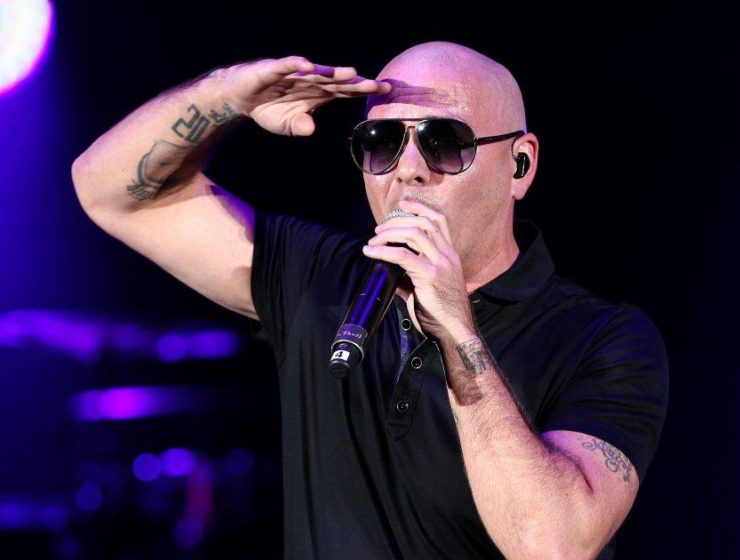 Pitbull